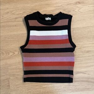 Debut Multicolor Striped Crop Top